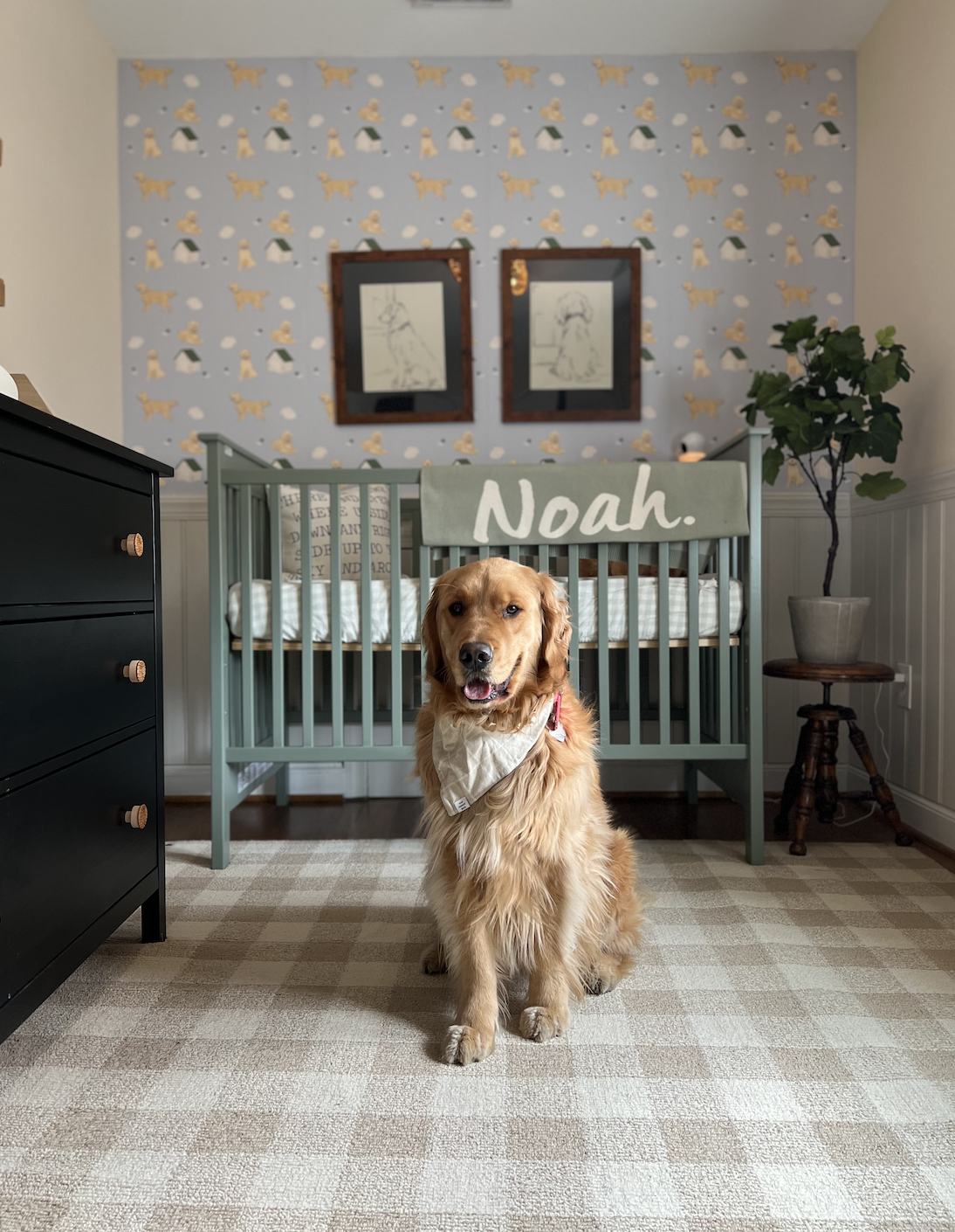 Golden Retriever Themed Nursery Design