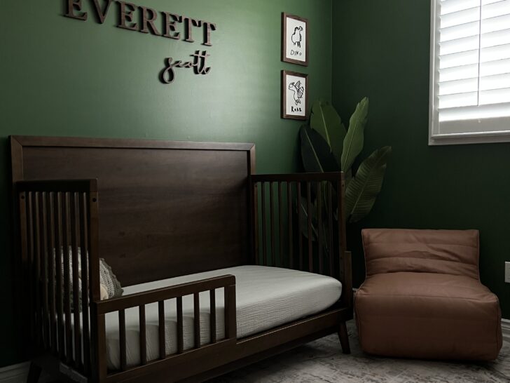 Boy Nursery Design