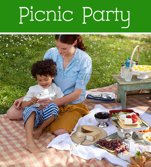Picnic Party Ideas for Kids